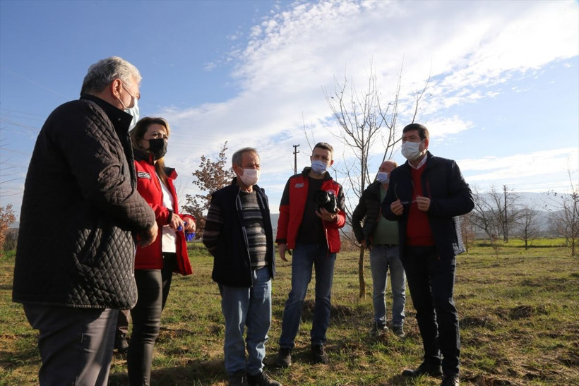 Köpeklerle Muğla'da aranıyor yurt dışına satılacak yüksek gelir getiriyor - Resim: 2