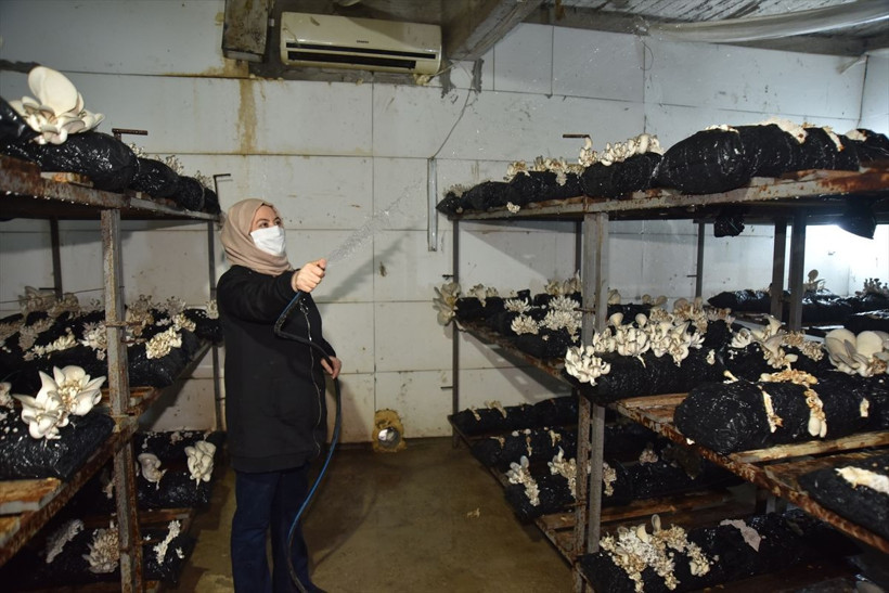 Kahramanmaraş'ta televizyonda görüp işe başladı aylık 45 bin lira kazanıyor - Resim: 3