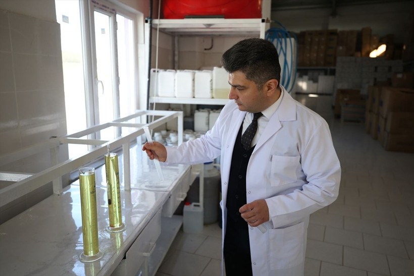 Koronayı fırsata çevirdi! Balıkesir'de mahalle arasında başladı Avrupa sıraya girdi - Resim: 2