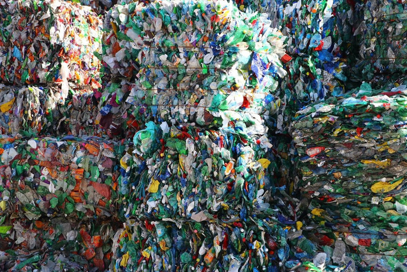 Tekirdağ'da toplayan ona getiriyor Avrupa'dan sipariş yağıyor - Resim: 1