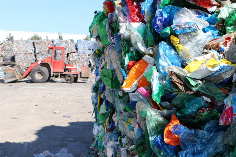 Tekirdağ'da toplayan ona getiriyor Avrupa'dan sipariş yağıyor - Resim: 2