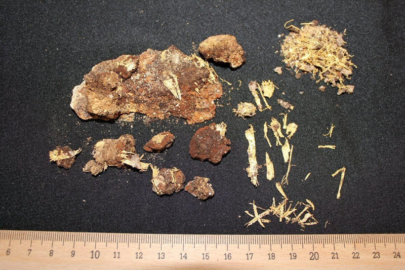 Sinop'ta büyük arkeolojik keşif Hz. İsa'yı bekleyen iki piskoposun mezarı açıldı - Resim: 4