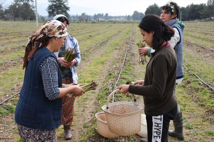 Yurt dışında tattı bu iş için müdürlüğü bıraktı! Muğla'da üretti hayatı değişti - Resim: 1