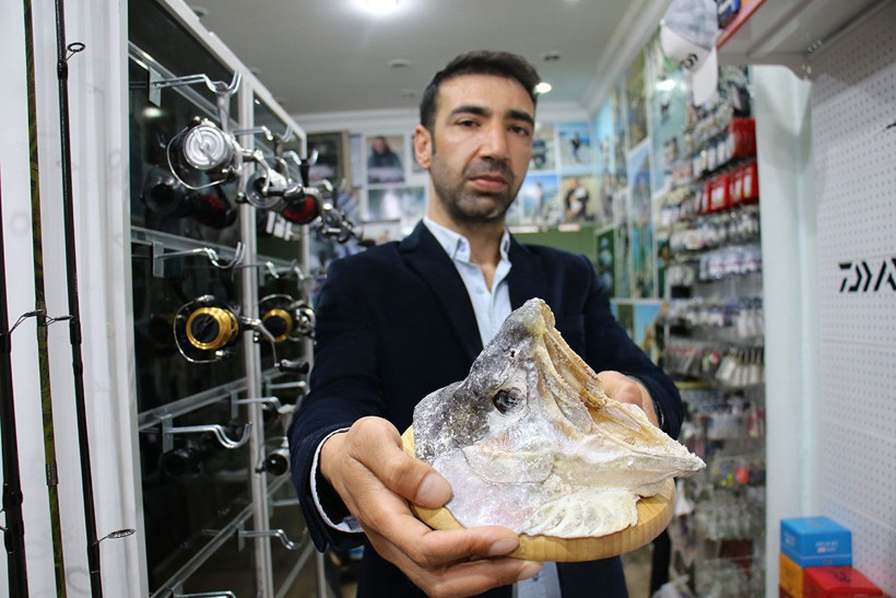  Türkiye ve Avrupa'nın en büyük alabalığı Elazığ'da olta ile yakalandı! Tam 115 santim - Resim: 4