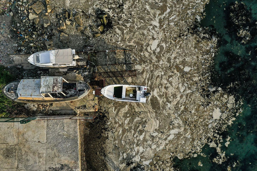 İstanbul merak ediyordu Marmara Denizi'ndeki değişimin sırrı çözüldü - Resim: 2