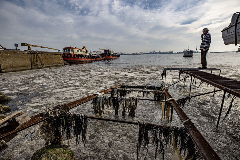İstanbul merak ediyordu Marmara Denizi'ndeki değişimin sırrı çözüldü - Resim: 1
