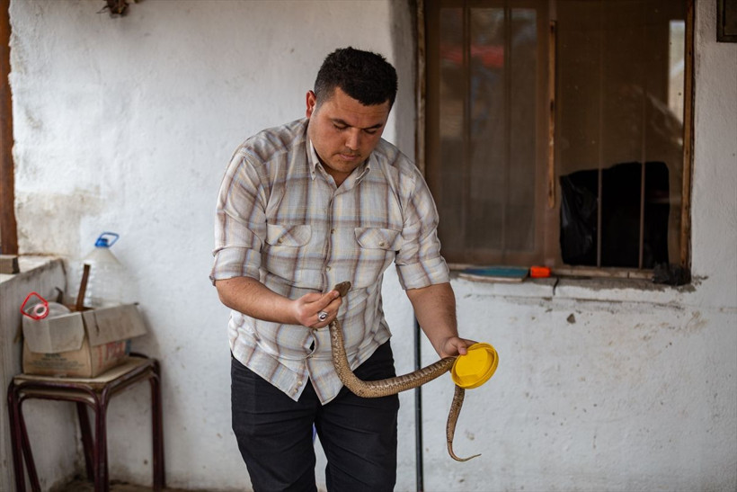 Hatay'da herkes korkup iğreniyor! 14 yıldır bu işi bedavaya yapıyor - Resim: 1