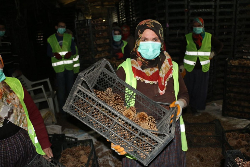Bolu'da tavuk kümesinde açılmalarını sağlıyorlar 7 gün sürüyor! Geçim kaynağı oldu - Resim: 3