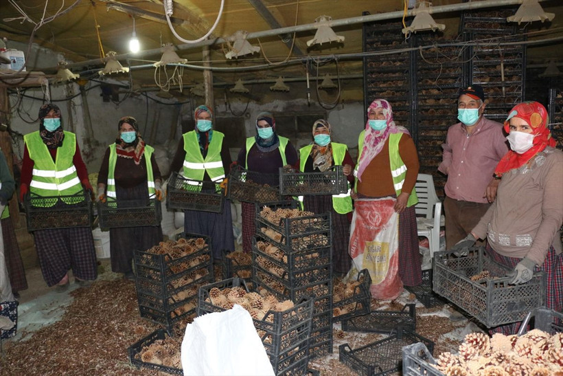 Bolu'da tavuk kümesinde açılmalarını sağlıyorlar 7 gün sürüyor! Geçim kaynağı oldu - Resim: 4