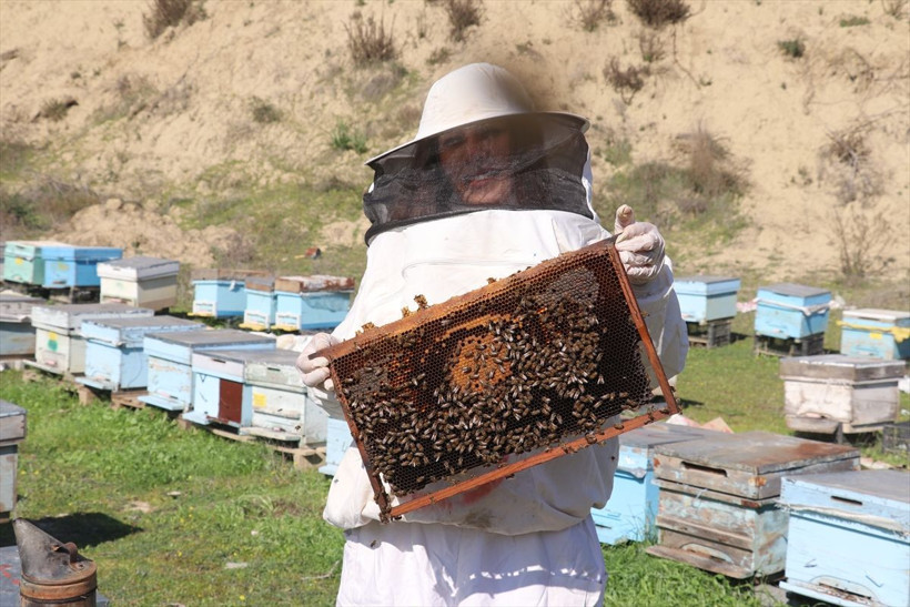 Kocası sürekli ağlıyor bu işi yapmak istemiyordu Adanalı kadının başarısı - Resim: 1