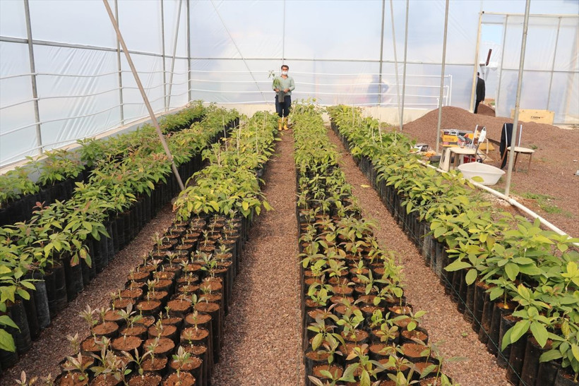 Öğrenci evinde tattı! Şirketi kapatıp Adana'da bu işe başladı kapasiteyi arttırdı - Resim: 4