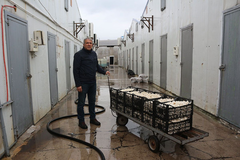 Beşiktaş'a transfer olamayınca Kocaeli'nde bu dev tesisi kurdu! Şimdi paraya para demiyor - Resim: 2