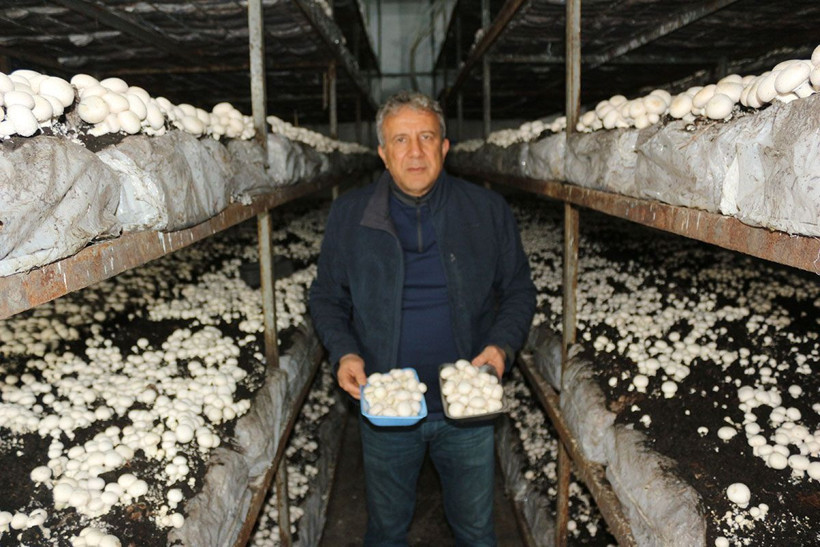 Beşiktaş'a transfer olamayınca Kocaeli'nde bu dev tesisi kurdu! Şimdi paraya para demiyor - Resim: 4