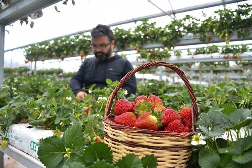 Bankacılığı bırakıp Kahramanmaraş'ta bu işe başladı paraya para demiyor! 4 ülke sırada - Resim: 1