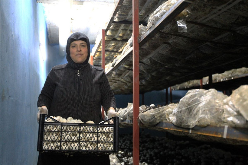 Samsun'da ek gelir için tavsiyeyle başladı! Çevre illerden sipariş yağıyor - Resim: 1