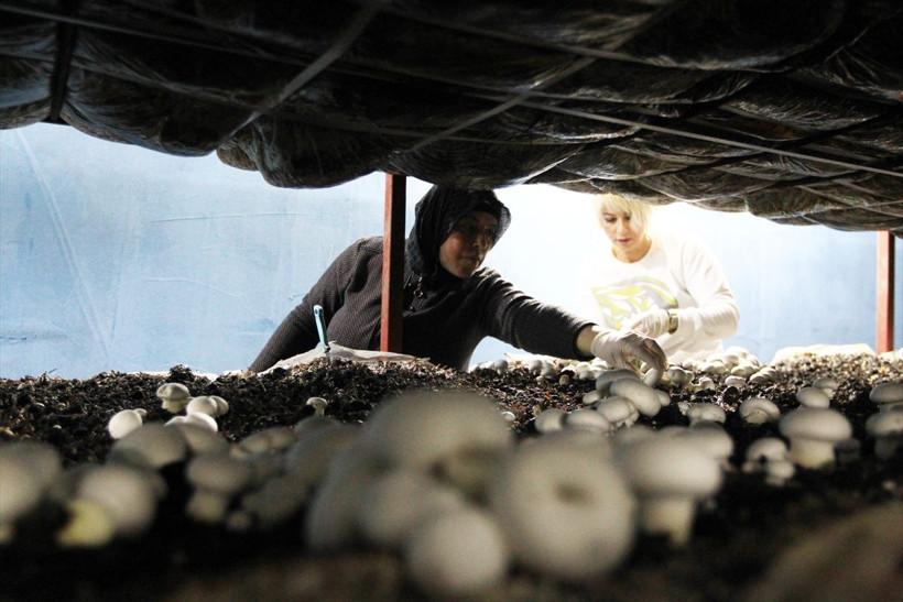 Samsun'da ek gelir için tavsiyeyle başladı! Çevre illerden sipariş yağıyor - Resim: 4