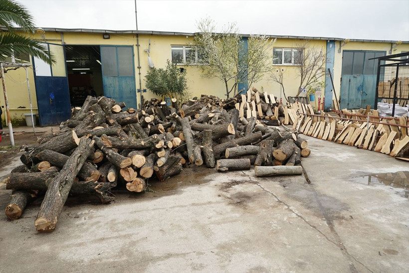 Edremit'te hobi olarak başladığı iş hayatını değiştirdi - Resim: 1