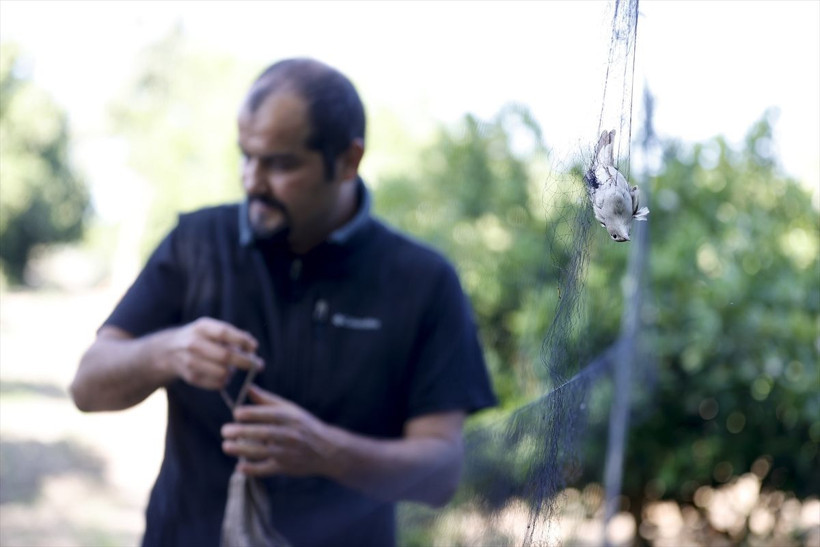 'Sis ağları'nı görmeleri imkansız! Yakaladıkları 3 bin 500'ü geçti - Resim: 3