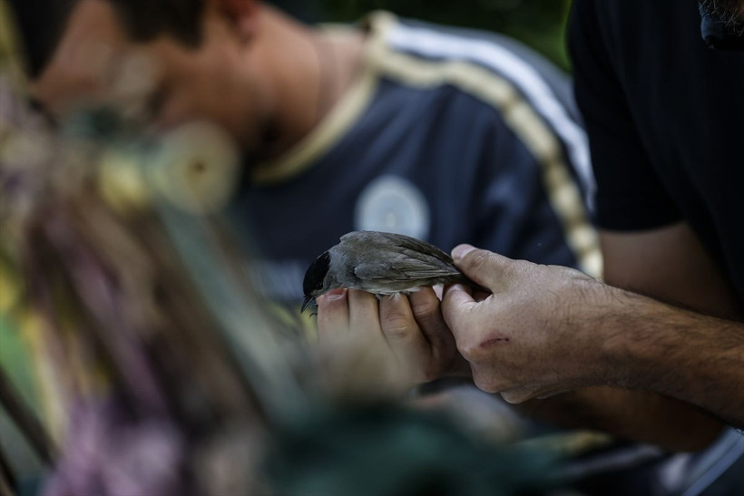 'Sis ağları'nı görmeleri imkansız! Yakaladıkları 3 bin 500'ü geçti - Resim: 1