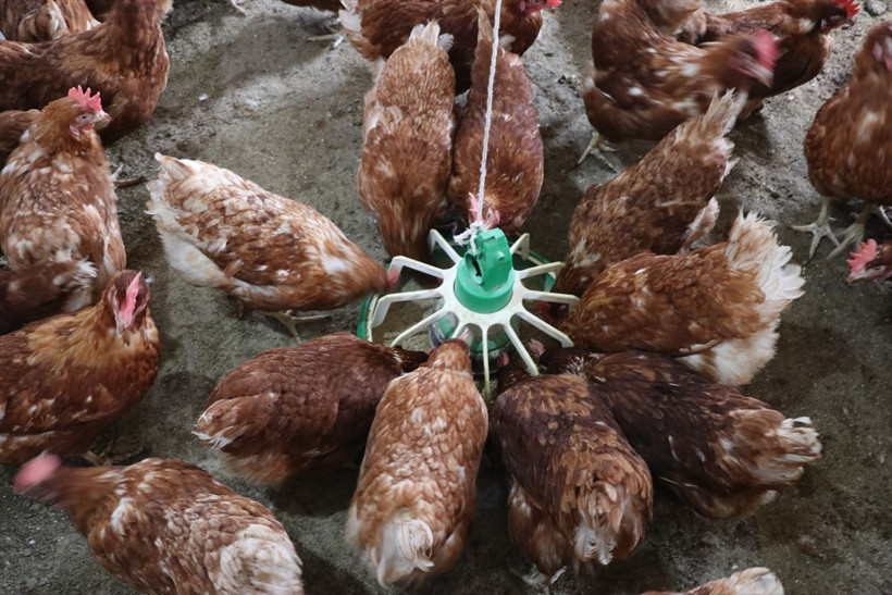 Memurluğun ardından 250 bin TL harcayıp Ağrı'da bu işe başladı! - Resim: 2