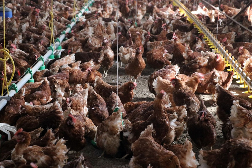 Memurluğun ardından 250 bin TL harcayıp Ağrı'da bu işe başladı! - Resim: 3