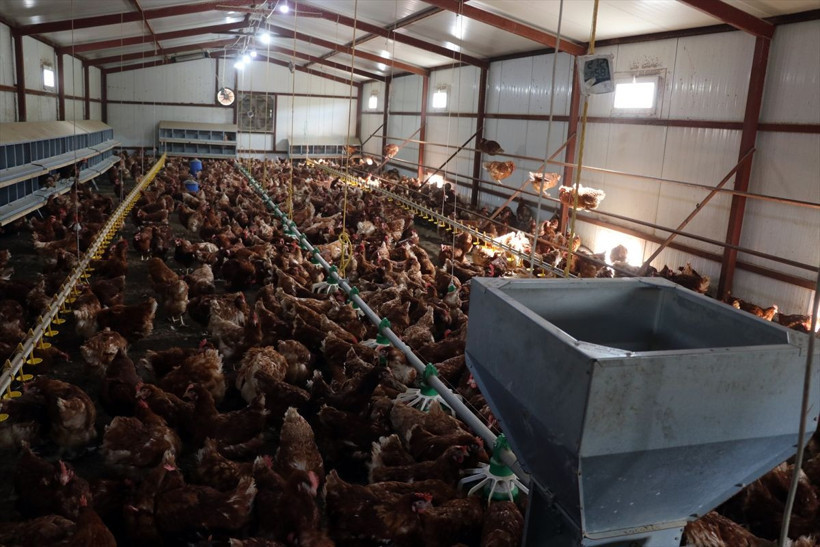 Memurluğun ardından 250 bin TL harcayıp Ağrı'da bu işe başladı! - Resim: 4