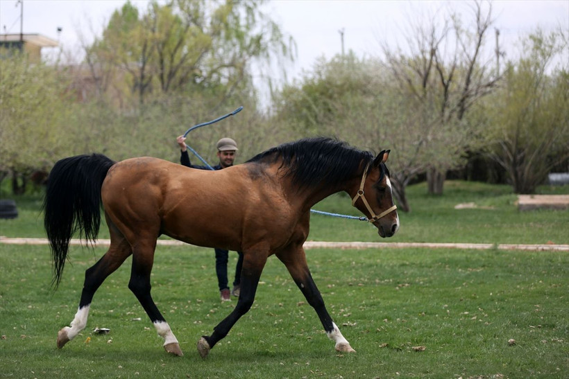 Otomobil ev fiyatına satıyor! Yurt dışından sipariş yağıyor Almanya ilk sırada - Resim: 2