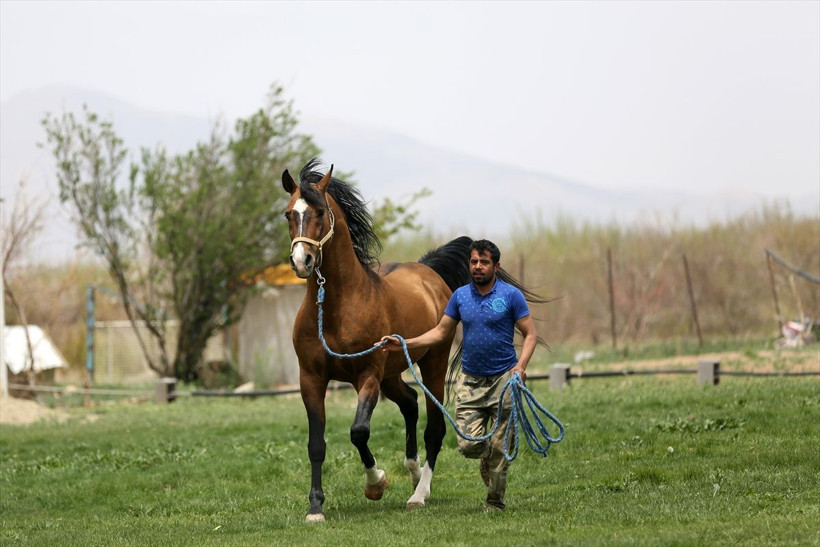 Otomobil ev fiyatına satıyor! Yurt dışından sipariş yağıyor Almanya ilk sırada - Resim: 4