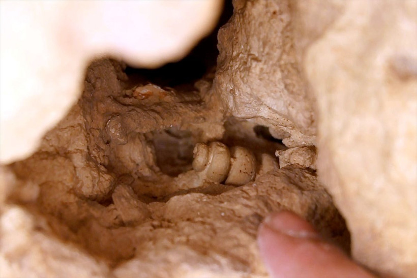 Elazığ'da büyük heyecan! Tesadüfen buldular köylüleri merak sardı görmeye gidiyorlar - Resim: 2