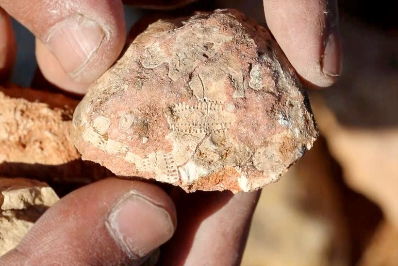 Elazığ'da büyük heyecan! Tesadüfen buldular köylüleri merak sardı görmeye gidiyorlar - Resim: 4