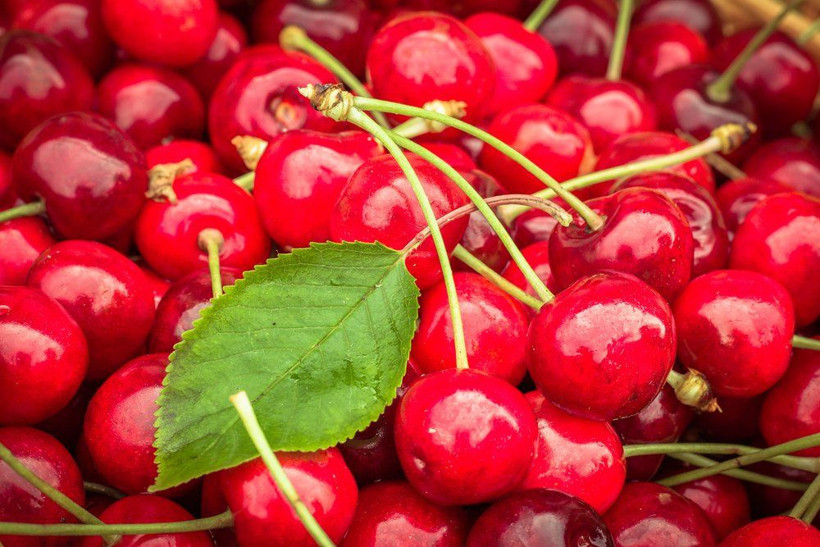 Vişnenin faydaları neler? Günde bir avuç vişne yerseniz... - Resim: 1