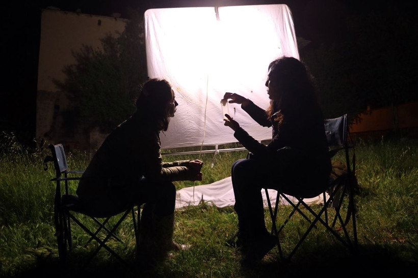 Hava kararınca onların işi bekliyor! Dağlarda tuzak kurup bekliyorlar - Resim: 3