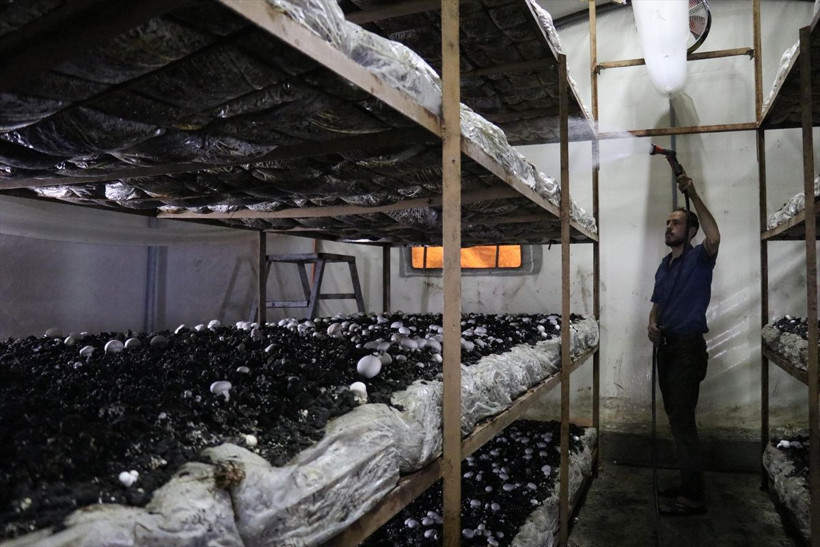 Yılda 35 milyon TL kazanç! 25 taneyle başladı Hatay'da paraya para demiyor - Resim: 1