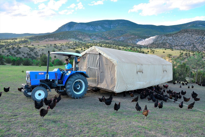 Türkiye'de örneği yok maliyeti yüzde 80 azalttı! 'Mobil kümes'te üretiyor talep yağıyor - Resim: 1