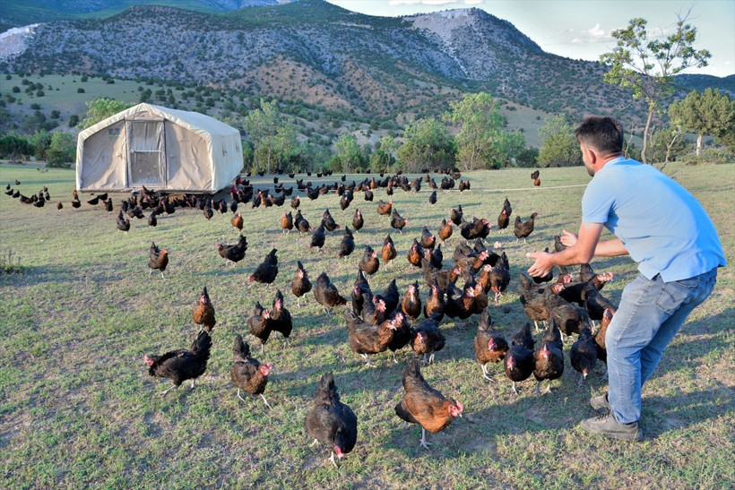 Türkiye'de örneği yok maliyeti yüzde 80 azalttı! 'Mobil kümes'te üretiyor talep yağıyor - Resim: 2