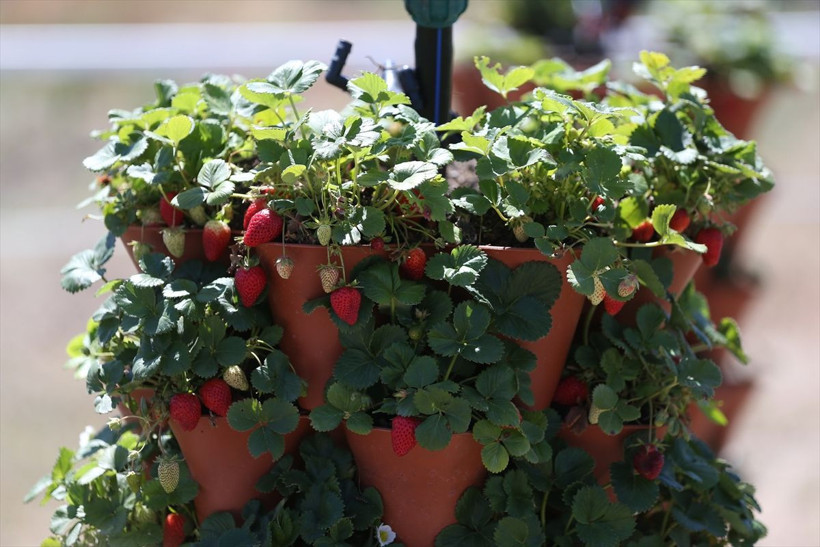 Eskişehir'de karı-koca birlikte 'kule' yaptılar! Sipariş yağıyor: Bu kadarını beklemiyorduk - Resim: 3