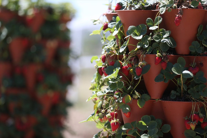 Eskişehir'de karı-koca birlikte 'kule' yaptılar! Sipariş yağıyor: Bu kadarını beklemiyorduk - Resim: 4