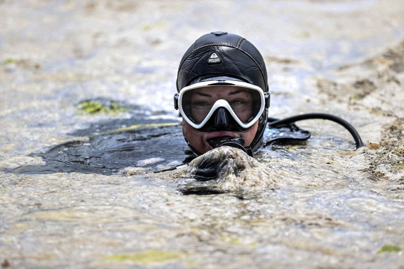 Müsilaj temizleme seferberliği İstanbul, Bursa, Yalova, Çanakkale'de aynı anda başladı - Resim: 1