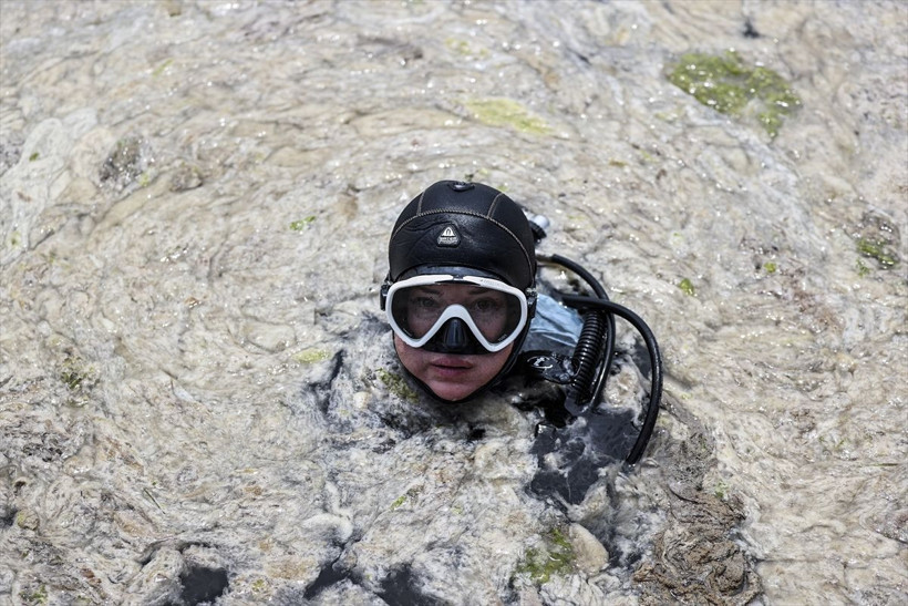 Müsilaj temizleme seferberliği İstanbul, Bursa, Yalova, Çanakkale'de aynı anda başladı - Resim: 2