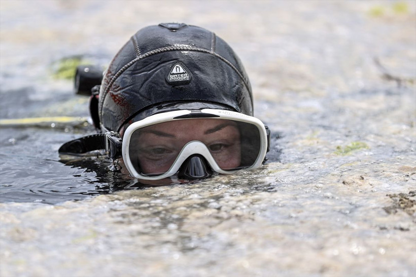 Müsilaj temizleme seferberliği İstanbul, Bursa, Yalova, Çanakkale'de aynı anda başladı - Resim: 3