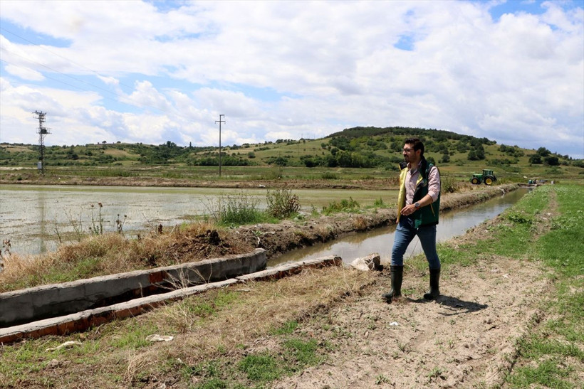 Babası vefat edince radikal karar aldı! Doktorluğu bırakıp başladı bebek gibi bakıyor - Resim: 1