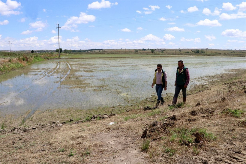 Babası vefat edince radikal karar aldı! Doktorluğu bırakıp başladı bebek gibi bakıyor - Resim: 3