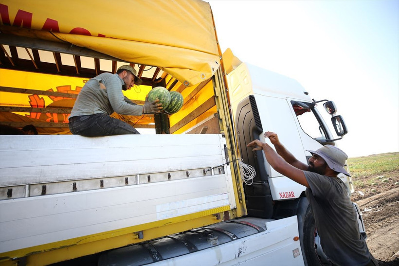 8 ülkeye ihracat! Ekeni zengin ediyor ama Adana'da fiyatı tepe taklak oldu - Resim: 4