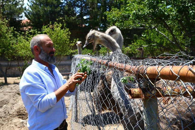 Nevşehir'de hobisini işe çevirdi 300 bin TL kazanıyor! Türkiye'de çoğu kişi bilmiyor - Resim: 3