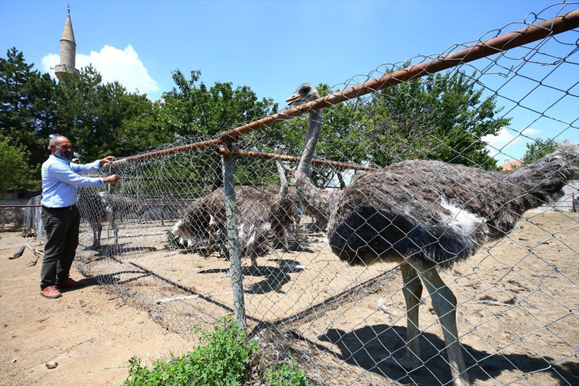 Nevşehir'de hobisini işe çevirdi 300 bin TL kazanıyor! Türkiye'de çoğu kişi bilmiyor - Resim: 4