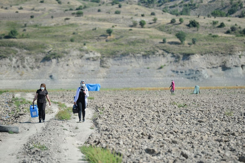 Sıcak uzak demediler! Tunceli'de mevsimlik işçiler aşıya gidemeyince sağlık ekipleri tarlaya indi - Resim: 2