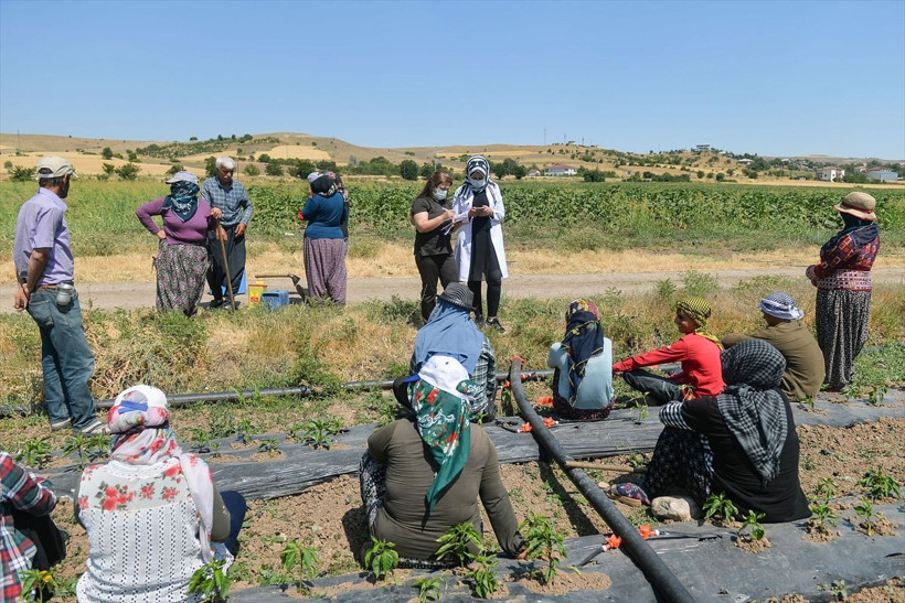 Sıcak uzak demediler! Tunceli'de mevsimlik işçiler aşıya gidemeyince sağlık ekipleri tarlaya indi - Resim: 4