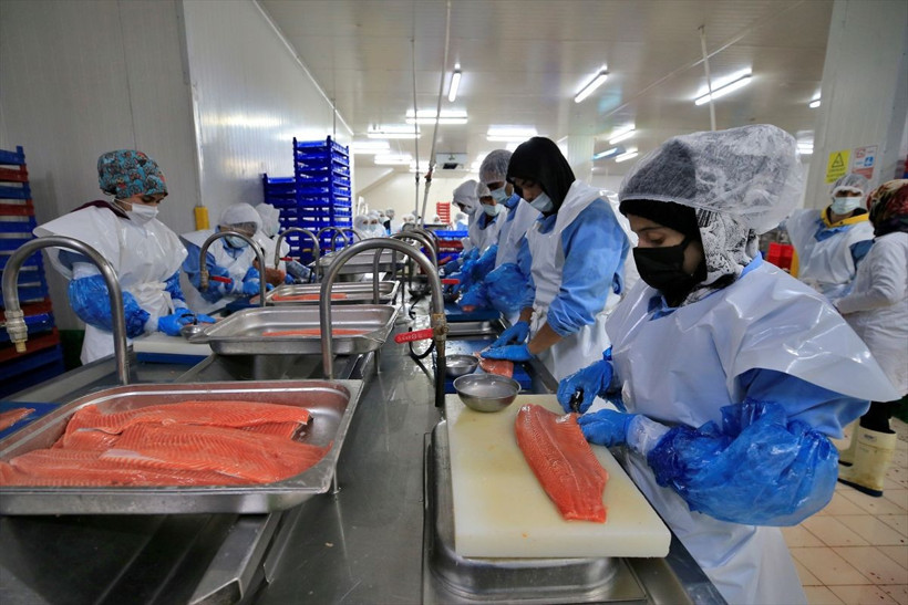 Elazığ'da üretiliyor 30 ülke sıraya girdi! Siparişlere yetişemiyorlar! - Resim: 1