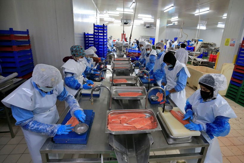 Elazığ'da üretiliyor 30 ülke sıraya girdi! Siparişlere yetişemiyorlar! - Resim: 3