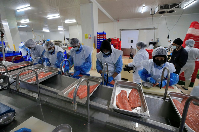 Elazığ'da üretiliyor 30 ülke sıraya girdi! Siparişlere yetişemiyorlar! - Resim: 4